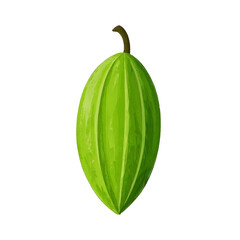 green leaf isolated on white