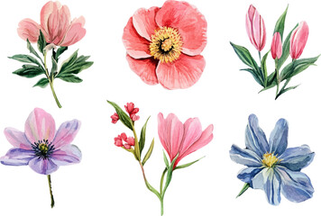 Obraz premium set of flowers isolated on white