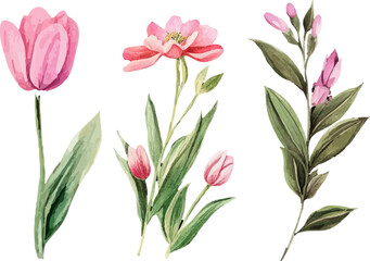 bouquet of pink tulips