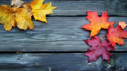 Obraz premium Vibrant autumn maple leaves on rustic weathered wooden background fall image orange yellow nature