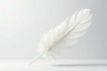 Crisp white feathers floating on a stark white backdrop, background, airy, plume