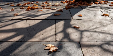 Autumn leaves scattered on sunlit pavement with tree shadows