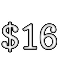 dollar sign on a white background $16