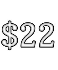 dollar sign on a white background $22