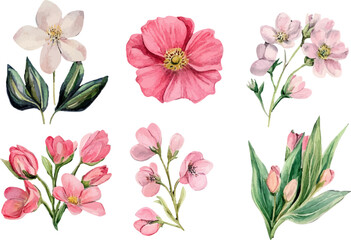 set of pink flowers