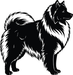American Eskimo Dog silhouette Illustration Vector ArtWork side view