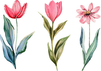 Obraz premium set of flowers vector