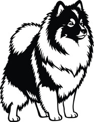 Obraz premium American Eskimo Dog silhouette Illustration Vector ArtWork stand position