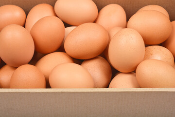 A close-up, top-down shot shows brown chicken eggs filling a cardboard container