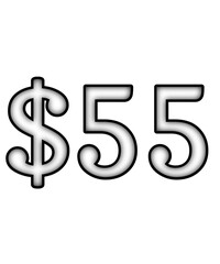 dollar sign on a white background $55