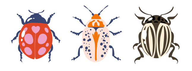 Beetles isolated illustrations. Wild nature insects, cute bugs, ladybug and potato beetle flat vector illustration set