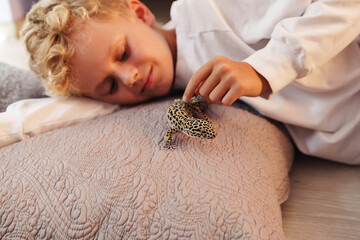 Boy interacts with leopard gecko on soft pillow in cozy indoor setting during afternoon