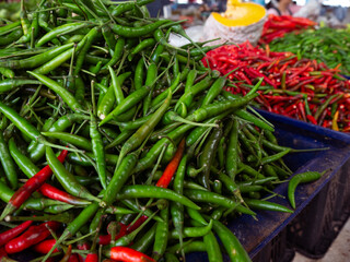 Fresh Organic green chilli peppers at local market.