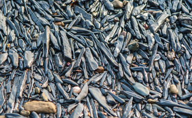 Colorful long, pointed rocks on the beach in the Gulf of Thailand