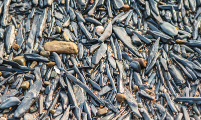 Colorful long, pointed rocks on the beach in the Gulf of Thailand