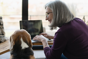 Smiling senior woman working from home using laptop with beagle dog