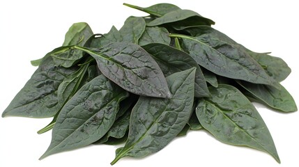 Fresh Organic Green Leaves Piled Together with Healthy and Vibrant Appearance