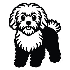 bichon frise vector