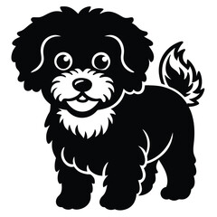 bichon frise vector
