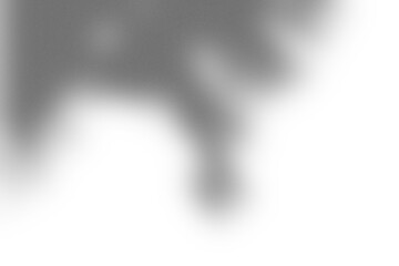 Branding Shadow Overlay