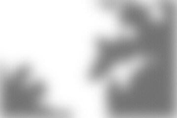 Branding Shadow Overlay