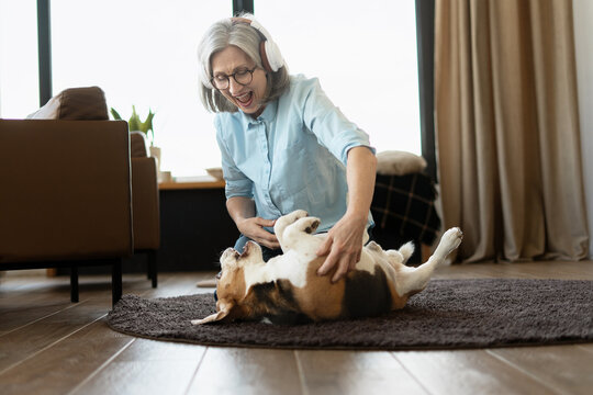 Happy senior woman wearing headphones is playing with beagle dog at home - Powered by Adobe