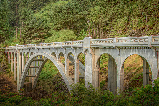Arch Bridge Over Forested Gorge in Early 20th-Century Style