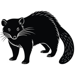 binturong vector