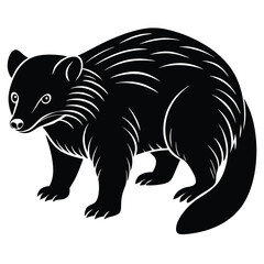 binturong vector