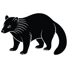 binturong vector