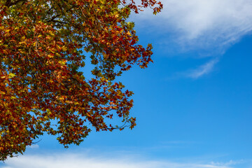 This place is absolutely beautiful during autumn, when the golden poplar trees are at their peak....