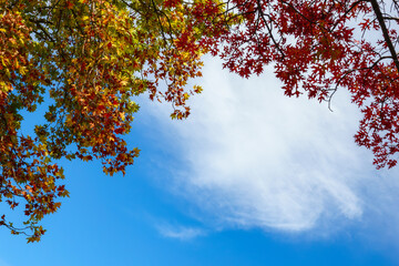This place is absolutely beautiful during autumn, when the golden poplar trees are at their peak....
