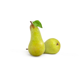 Two green conference pears and a leaf isolated. Pear isolated with leaves.