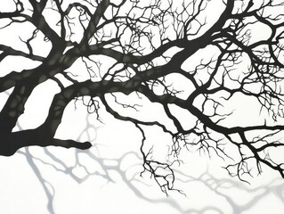 Fototapeta premium Bare tree branches against bright sky