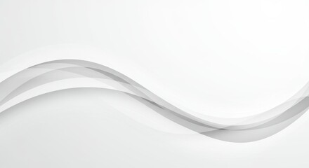 Elegant abstract white background with soft grey wave, modern template
