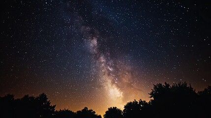 Fototapeta premium Night Sky with Milky Way Galaxy over Silhouetted Trees