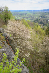 Outdoor spring scene with safety rope, rock edge and valley. Great for sport climbing visuals, risk themes and tourism campaigns.