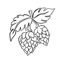 Line hops, hand drawn illustration