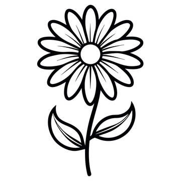 Black-outline-of-a--daisy-flower--on-white-background.