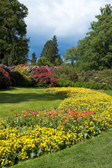 Tulipe, Rhododendron, Pelouse, Jardin botanique. Ile de Mainau, Lac de Constance, Allemagne