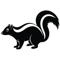 skunk vector