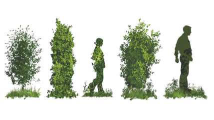 Silhouettes of Green Bushes Figures on Transparent Background for Creative Design Projects