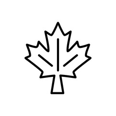 Maple leaf icon vector illustration web design element