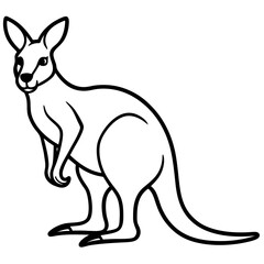 Minimalist Kangaroo Line Art