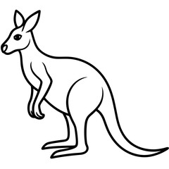 Minimalist Kangaroo Line Art