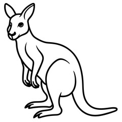 Minimalist Kangaroo Line Art