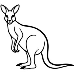 Minimalist Kangaroo Line Art