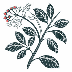 Flat vector Illustration of a foliage plant By