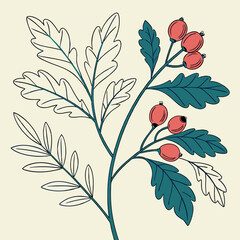 Flat vector Illustration of a foliage plant By