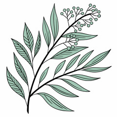 Flat vector Illustration of a foliage plant By